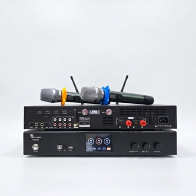 Amplifier DS audio FM650 – 3 IN 1 ( Kèm Micro Không Dây )