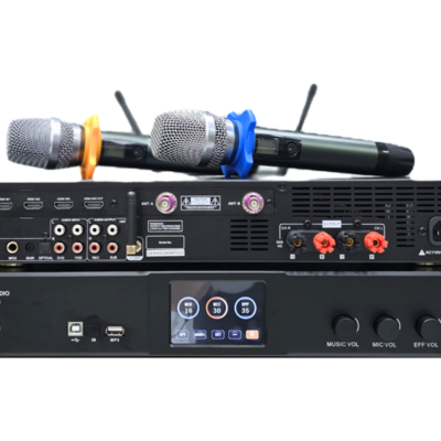 Amplifier DS audio FM650 – 3 IN 1 ( Kèm Micro Không Dây )